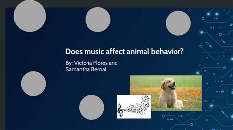 Does Music Affect Animal Behavior? Or Does the Symphony of Nature?