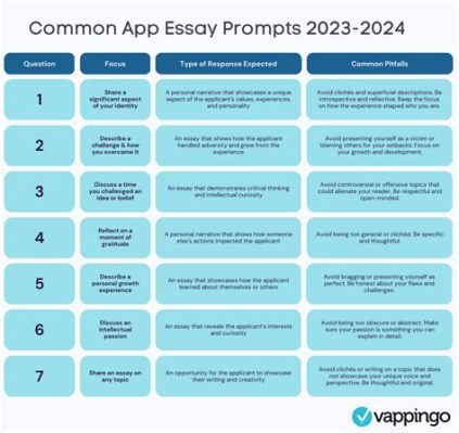 USC Essay Questions: An Insight into the Application Process